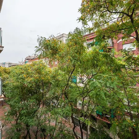 Navas 2 Apartment